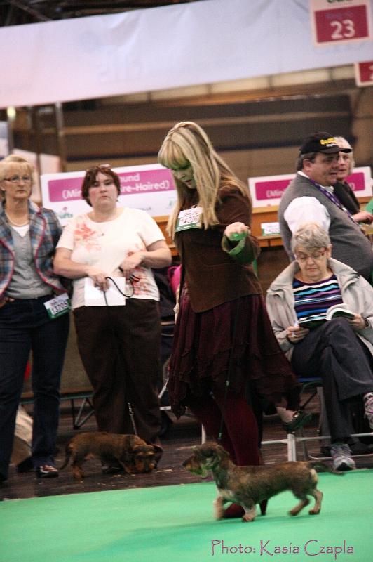 Crufts2011_2 1589.jpg